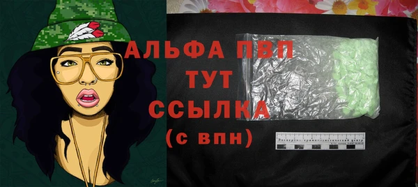 прущие грибы Касимов