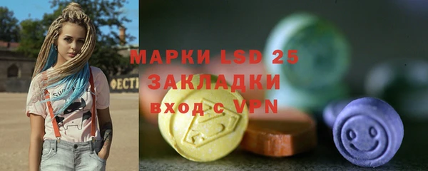 прущие грибы Касимов