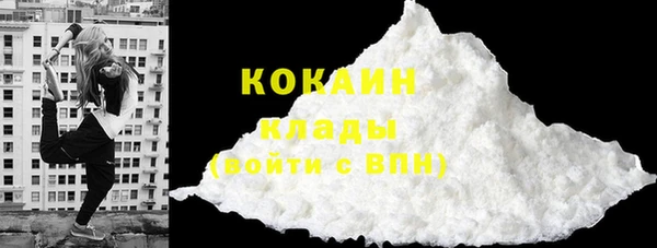 прущие грибы Касимов