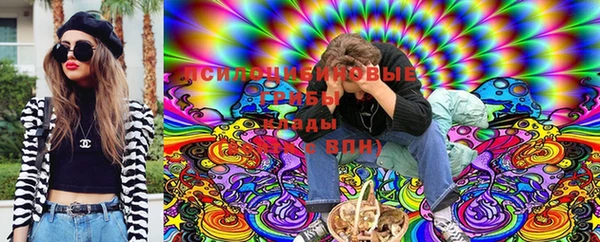 прущие грибы Касимов