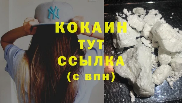 прущие грибы Касимов