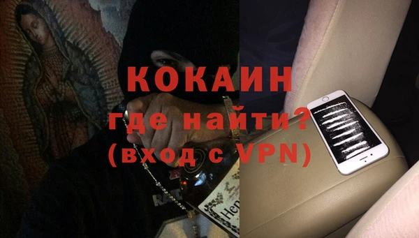 прущие грибы Касимов
