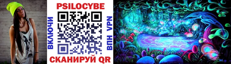 Купить закладки  Магадан  Псилоцибиновые грибы Psilocybine cubensis 