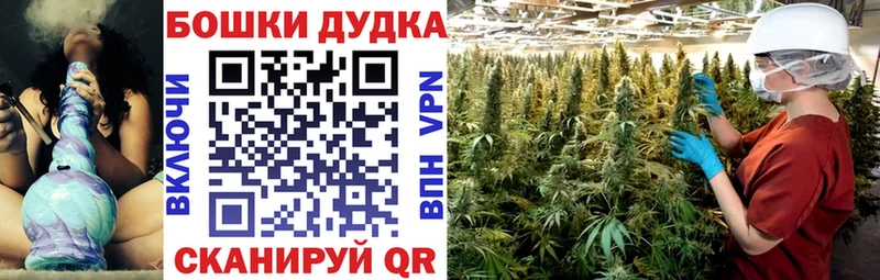 Каннабис OG Kush Купить где Магадан